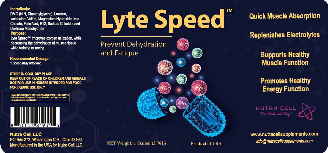 Lyte Speed™
