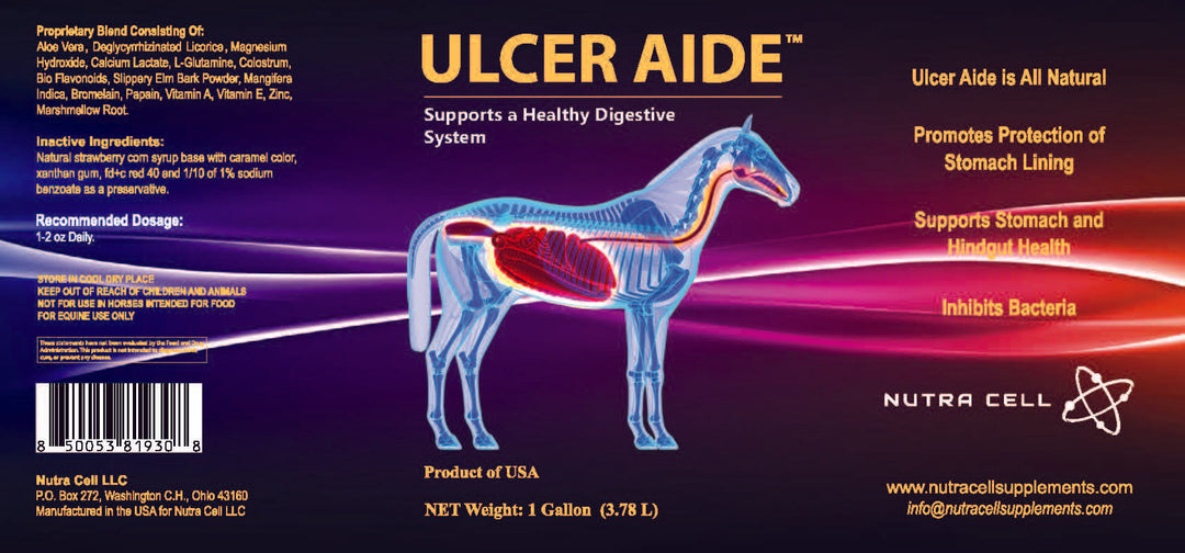 Ulcer Aide™